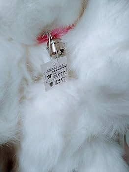 Amazon.co.jp: オオイケOIKEペルシャ猫ぬいぐるみネコねこ